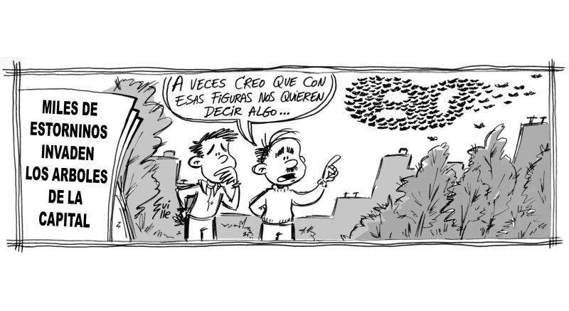 Tiras Antiguas Heraldo 10 8