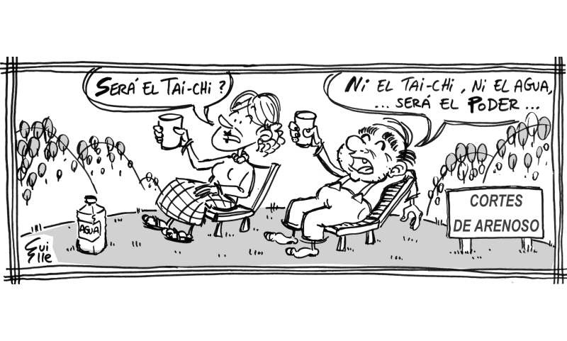 Tiras Antiguas Heraldo 80 8